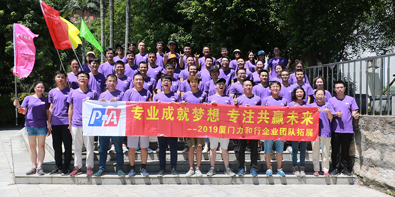 Our Team
