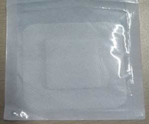  Wound Dressing Inspection